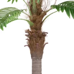 Northlight 8' Unlit Artificial Potted Phoenix Palm Tree -Northlight GUEST 5318f86b 1249 4073 be53 e3c279e7b7cd