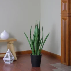 Northlight 3' Green Two Tone Potted Artificial Snake Plant 7 Northlight 3' Green Two Tone Potted Artificial Snake Plant -Northlight GUEST 531da7ca 29e0 42d3 8549 140361fe162e