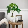 Northlight 18.5" Artificial Guiana Chestnut Plant In White Pot 2 Northlight 18.5" Artificial Guiana Chestnut Plant In White Pot -Northlight GUEST 54cf12fc 81a5 4822 880c 18d23bd3617e