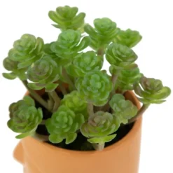 Northlight 5.5" Mini Artificial Succulent In Face Planter Pot -Northlight GUEST 55a0520b 8ac1 4bbc 9eb9 fa86aa194d20