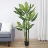 Northlight 59" Artificial Wide Leaf Green Dieffenbachia Potted Plant -Northlight GUEST 614fab08 167f 4cdf 9fb5 fc548b26a3e5