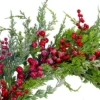 Northlight Frosted Red Berries Artificial Christmas Wreath - 26-Inch, Unlit -Northlight GUEST 642d9ccd 30ae 43b2 8a8b 8ec6943aac36