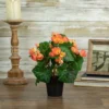 Northlight 11" Coral Pink Potted Silk Begonia Spring Artificial Floral Arrangement -Northlight GUEST 67e7ebca f30f 49fd 9562 98fa57c6b665