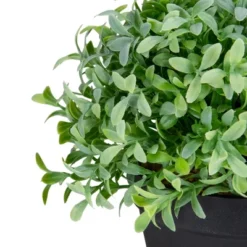 Northlight 7.5" Potted Green Artificial Boxwood Plant -Northlight GUEST 684a4e13 adb8 4422 ae75 f862851a74ea