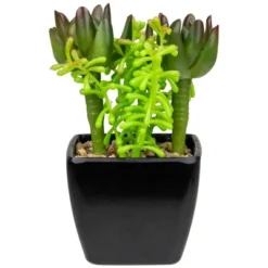 Northlight 6" Potted Green Artificial Succulent Arrangement -Northlight GUEST 7047a777 7b19 417f 8e92 9b4b2a6a2f3a