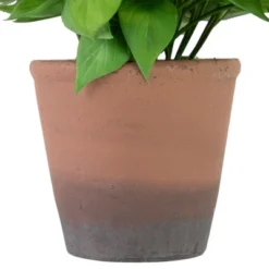 Northlight Real Touch™ Artificial Peperomia Watermelon Begonia Plant In Terracotta Style Pot - 7" -Northlight GUEST 77ea09ec e45a 40aa abd9 3879e08d5894