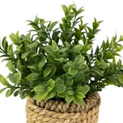 Northlight 7" Artificial Milan Leaf Bush In Rattan Basket -Northlight GUEST 7a6d43c7 1bc3 4ed8 8194 b5c168d82bcf