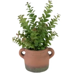 Northlight Real Touch™ Artificial Privet Plant In Vintage Milk Can Style Earthenware Pot - 14" -Northlight GUEST 7bb5343f 410d 43a4 a6ac 409a8d669a88