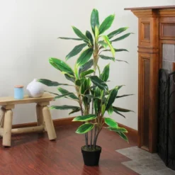 Northlight 55" Green And Red Potted Two Tone Dracaena Artificial Plant -Northlight GUEST 8ddbc5c3 c53f 4390 8576 013fb2f60ca5