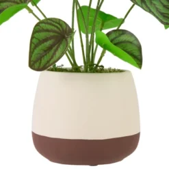 Northlight 10.25" Artificial Peperomia Plant In Two-Tone Ceramic Pot 9 Northlight 10.25" Artificial Peperomia Plant In Two-Tone Ceramic Pot -Northlight GUEST 9717fb24 19da 4293 a814 8ab59c4b7a8b