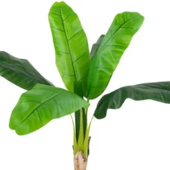 Northlight 4' Artificial Tropical Banana Tree In A Clay Pot -Northlight GUEST 9d133ffc e298 4e6d a3a3 c27e60a68936