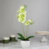 Northlight 14" Ivory, Green, And White Artificial Orchid Potted Plant Tabletop Decor -Northlight GUEST a2a7d563 47f0 4fe3 b91f d1e3f0746a33