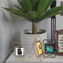 Northlight 9.5" Contemporary Hexagonal 4" X 4" Photo Picture Frame - Silver 8 Northlight 9.5" Contemporary Hexagonal 4" X 4" Photo Picture Frame - Silver -Northlight GUEST a49e8f5f e6d1 4d23 91e5 7ef1d9da449c 1