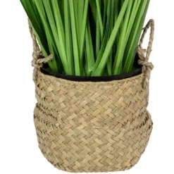 Northlight 28" Artificial Onion Grass Plant In Basket -Northlight GUEST abfcb17d 44f7 42f1 83c7 82b2a82022e4
