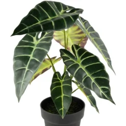 Northlight Real Touch™ Artificial Taro Plant In Black Pot 18" -Northlight GUEST b9a0cdda 90f3 4a82 aa21 11dc229abfba