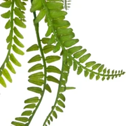 Northlight 18" Artificial Fern Plant With Moss Ball And Hanging Jute Cord -Northlight GUEST bb6edb2d bc56 4974 8131 837b66228aaf