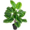 Northlight 30" Two-Tone Green Calathea Artificial Potted Plant