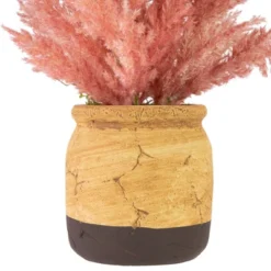 Northlight 12" Pink Cypress Artificial Plant In A Ceramic Pot 9 Northlight 12" Pink Cypress Artificial Plant In A Ceramic Pot -Northlight GUEST bcd3a654 f826 4acc 80df 9a2addb95e3c