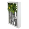 Northlight 18.5" White Birch Branch Lemon Tree Rustic Wooden Frame Decoration