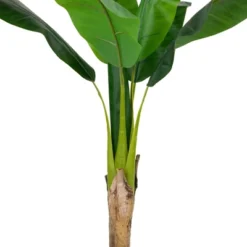 Northlight 4' Artificial Tropical Banana Tree In A Clay Pot -Northlight GUEST bfe0e21a a17b 41c1 ba37 5b04cb6342a0