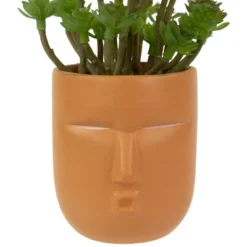 Northlight 5.5" Mini Artificial Succulent In Face Planter Pot -Northlight GUEST c1f98d74 5ae9 4df7 a367 866022fcc6ce