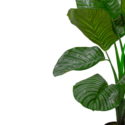 Northlight 4' Potted Two Tone Green Calathea Artificial Floor Plant 4 Northlight 4' Potted Two Tone Green Calathea Artificial Floor Plant - Image 2