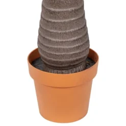 Northlight 8' Unlit Artificial Potted Phoenix Palm Tree -Northlight GUEST cef16ac3 1a52 4e49 870b 69dca63ebd5c