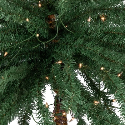 Northlight 6' Pre-Lit Artificial Tropical Outdoor Patio Palm Tree - Clear Lights 4 Northlight 6' Pre-Lit Artificial Tropical Outdoor Patio Palm Tree - Clear Lights - Image 2