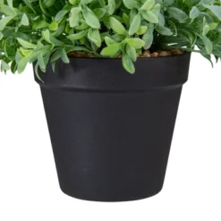 Northlight 7.5" Potted Green Artificial Boxwood Plant -Northlight GUEST d3c30343 9afc 4a38 b3e7 f1b1e8cdbf4b