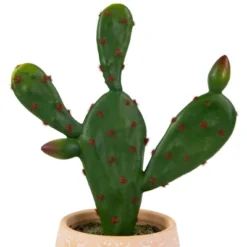 Northlight Real Touch™ Artificial Green And Red Potted Floral Cactus 9.5" -Northlight GUEST d441b7e9 68de 46db 87a8 53b658aa8cb7