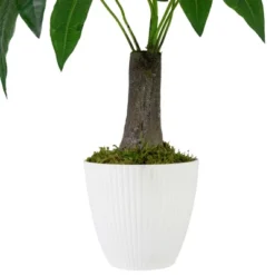 Northlight 18.5" Artificial Guiana Chestnut Plant In White Pot -Northlight GUEST da501613 743a 46ed 956a 71b001639a45