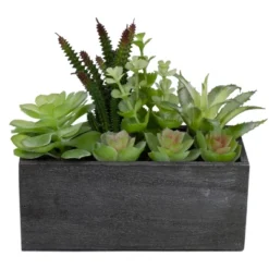 Northlight 10" Artificial Mixed Succulent Plants In A Rectangular Planter -Northlight GUEST dda60922 fc5b 422d a2aa 5ab6a9e1dcdc