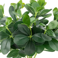 Northlight 18" Two-Tone Polyscias Artificial Spring Floral Bush - Green -Northlight GUEST df4952d1 58ea 407a b7ba b7403aa1714d