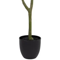 Northlight 4' Artificial Unbraided Potted Green Money Tree -Northlight GUEST e07a198c 4d81 44ed 9a41 88abf5d8b9f8