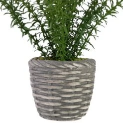 Northlight Real Touch™ Artificial Thyme Plant In Gray Ceramic Pot - 15" -Northlight GUEST e0807bc0 cbcc 4971 ab81 0f3db54cb1a5