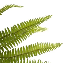 Northlight 12" Artificial Boston Fern Plant In Aztec Pattern Ceramic Pot 10 Northlight 12" Artificial Boston Fern Plant In Aztec Pattern Ceramic Pot -Northlight GUEST eb4d02ab f9be 43d5 a08d d1c27baaf534