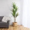 Northlight 5.5' Green Artificial Dracaena Marginata Plant In Black Pot 2 Northlight 5.5' Green Artificial Dracaena Marginata Plant In Black Pot -Northlight GUEST ec64f269 48a4 4a5f 9e2f 0f931aee7aa1