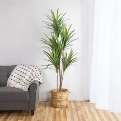 Northlight 5.5' Green Artificial Dracaena Marginata Plant In Black Pot