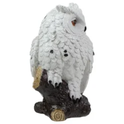 Northlight 6" White Owl Perched On A Branch Outdoor Garden Statue -Northlight GUEST f1796cd7 b048 45e9 ad10 5d21628f8785