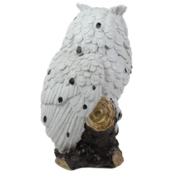 Northlight 6" White Owl Perched On A Branch Outdoor Garden Statue -Northlight GUEST f28a2e98 61af 45c1 a855 994886865c3d