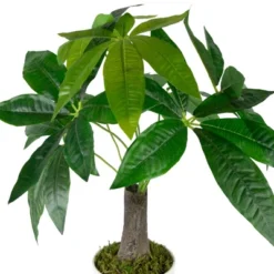 Northlight 18.5" Artificial Guiana Chestnut Plant In White Pot -Northlight GUEST f4252e10 6e0e 443d 970a cb19897c2ca9