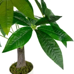 Northlight 18.5" Artificial Guiana Chestnut Plant In White Pot -Northlight GUEST f79c3e27 17fe 45d2 a1ee 144e410ac2fb