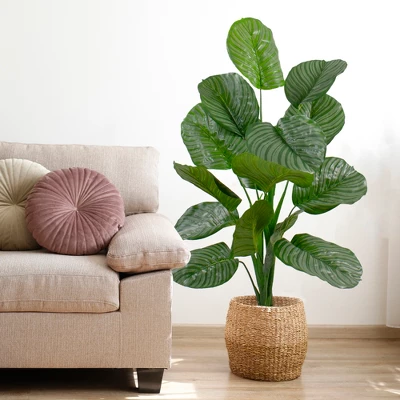 Northlight 4' Potted Two Tone Green Calathea Artificial Floor Plant 3 Northlight 4' Potted Two Tone Green Calathea Artificial Floor Plant