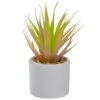 Northlight 6.5" Green Artificial Sword Grass In A White Pot