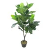 Northlight 4' Potted Two Tone Green Artificial Wide Fiddle Leaf Fig Tree 1 Northlight 4' Potted Two Tone Green Artificial Wide Fiddle Leaf Fig Tree -Northlight b60c63a85b5b434a80c855a9e0ff251b