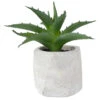 Northlight 6" Artificial Potted Aloe Succulent In Cement Pot