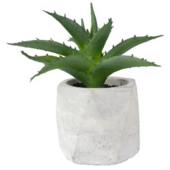 Northlight 6" Artificial Potted Aloe Succulent In Cement Pot