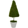 Northlight 21" Green And White Reindeer Moss Potted Artificial Spring Floral Topiary Tree