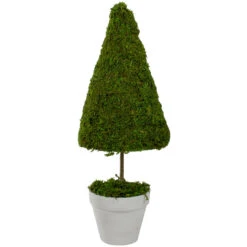 Northlight 21" Green And White Reindeer Moss Potted Artificial Spring Floral Topiary Tree