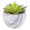 Northlight Succulent In Ceramic Pot H 12.7cm